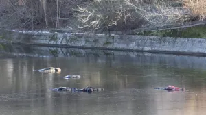 Mislili su da su mrtvaci/X.com//