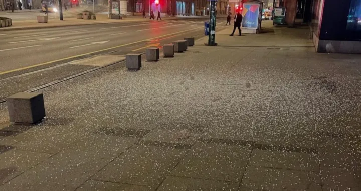 Iz SCC-a poručuju da preduzimaju mjere kako bi identifikovali počinitelja/Crna Hronika