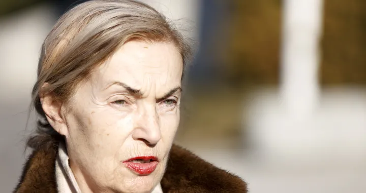 Vasvija Vidović presuda izjava/Damir Deljo