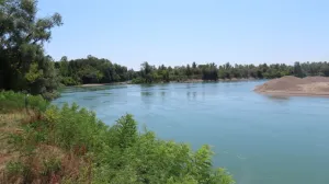 Rijeka Drina/Ilustracija/Telegraf.rs/