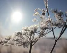 Sunca će biti u Hercegovini/