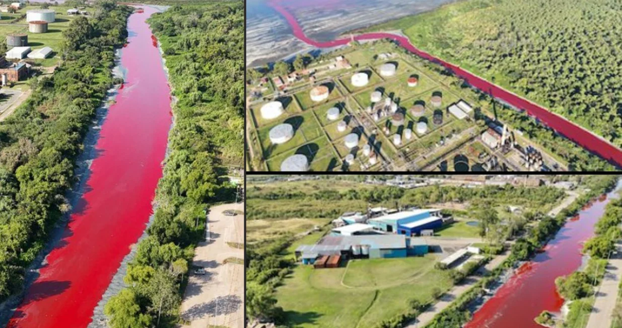 Rijeka u predgrađu Buenos Airesa u Argentini postala je crvena, &scaron;to je izazvalo zabrinutost među stanovnicima/X