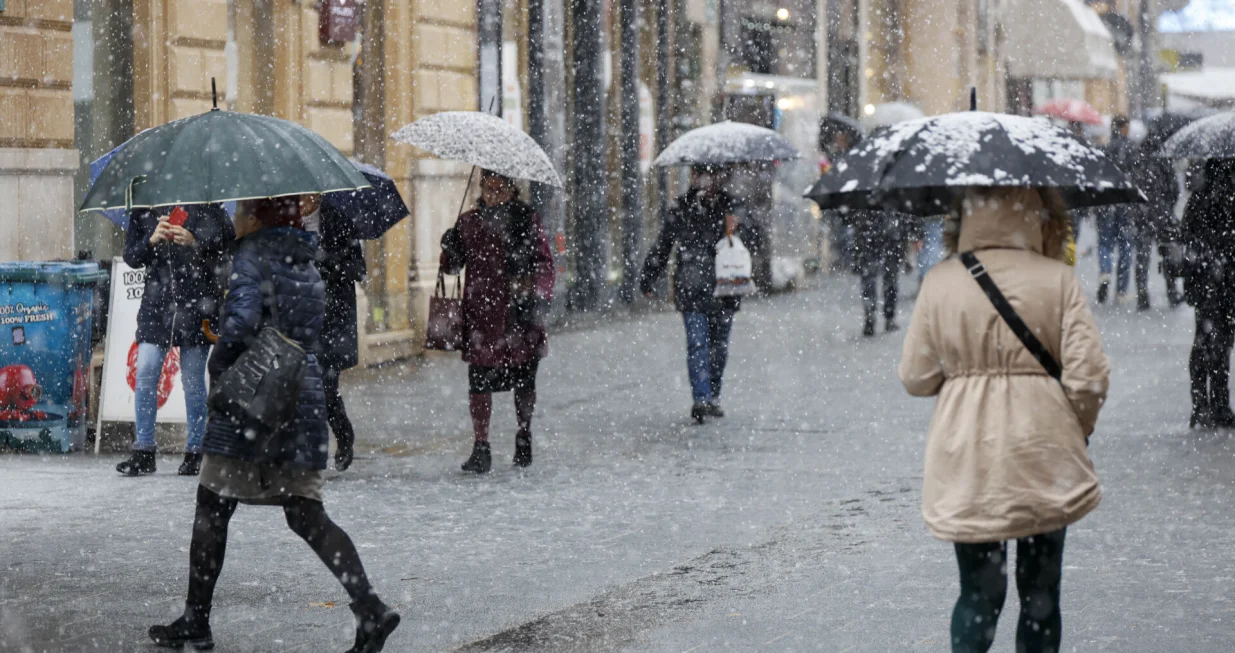 Snijeg ilustracije/Damir Deljo