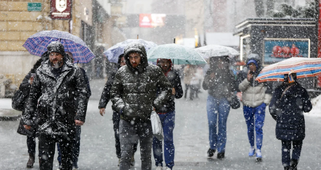 Snijeg ilustracije/Damir Deljo