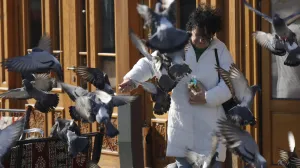 sunčano jutro sunce i ledenice/Senad Gubelić