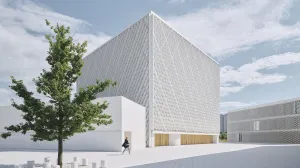 Trg - harem /David Schreyer/