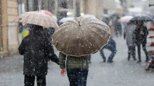 Snijeg ilustracije/Damir Deljo