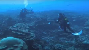 Ronilac odlučio istražiti crnu rupu usred oceana/Screenshot