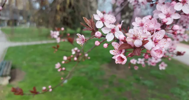 / Lejla Sofradžija/