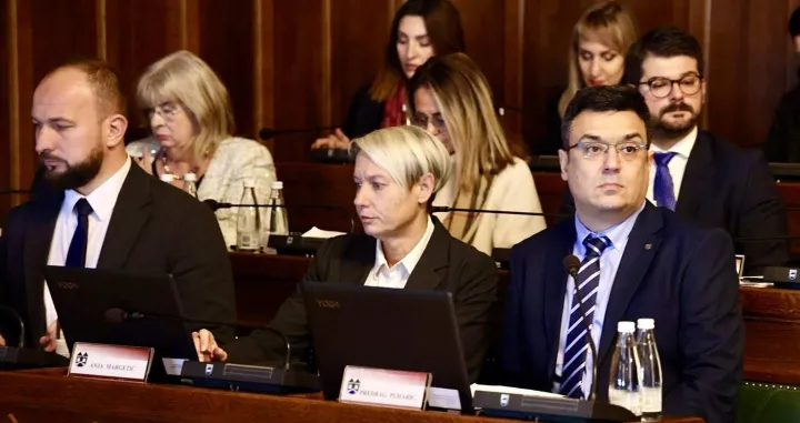 gradsko vijece puharic/