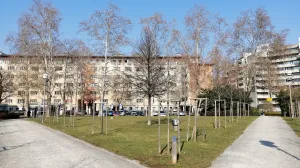 Maribor: Park s drvećem i propisnim kolcima/