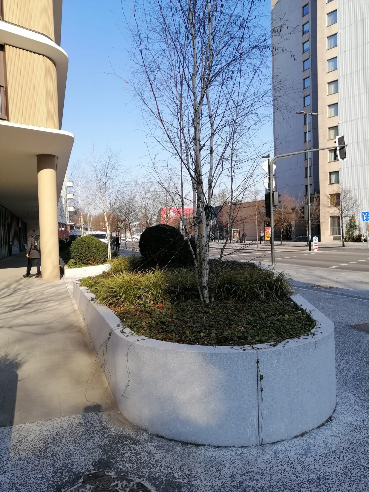 Ljubljana: Visoke grede za sadnju drveća i trajnica sa sistemom za zalijevanje/