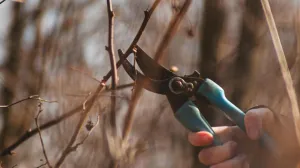 Ilustracija/ Pexels/