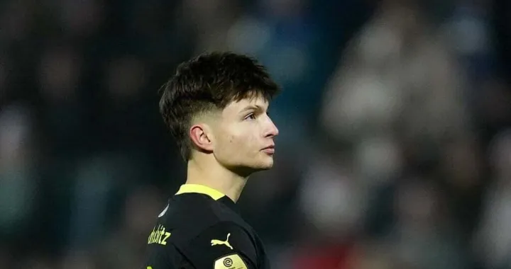 Esmir Bajraktarević