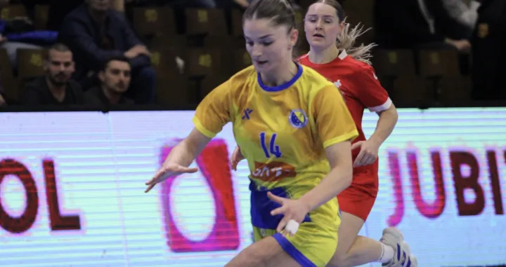 Detalj sa meča Bosna i Hercegovina - Velika Britanija (FOTO: Jasmin Duvnjaković/SPORT1)