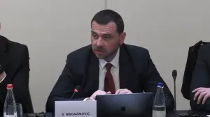 saša magazinović, sastanku zastupnika EU Parlamenta i Parlamenta BiH/Screenshot