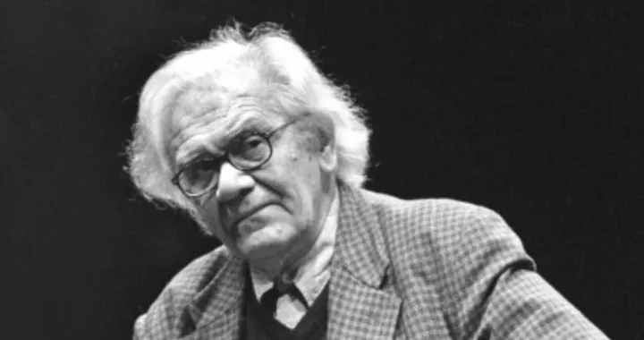 Izet Sarajlić Kiko/-