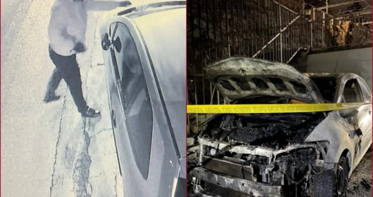 nebojša vukanović, paljenje, automobili, tojota/Nebojša Vukanović