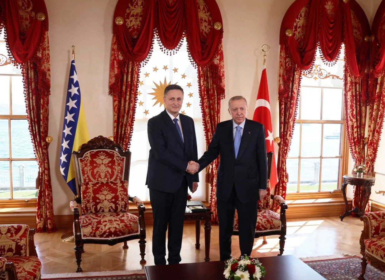 Denis Bećirović i Recep Tayyip Erdogan u Istanbulu//