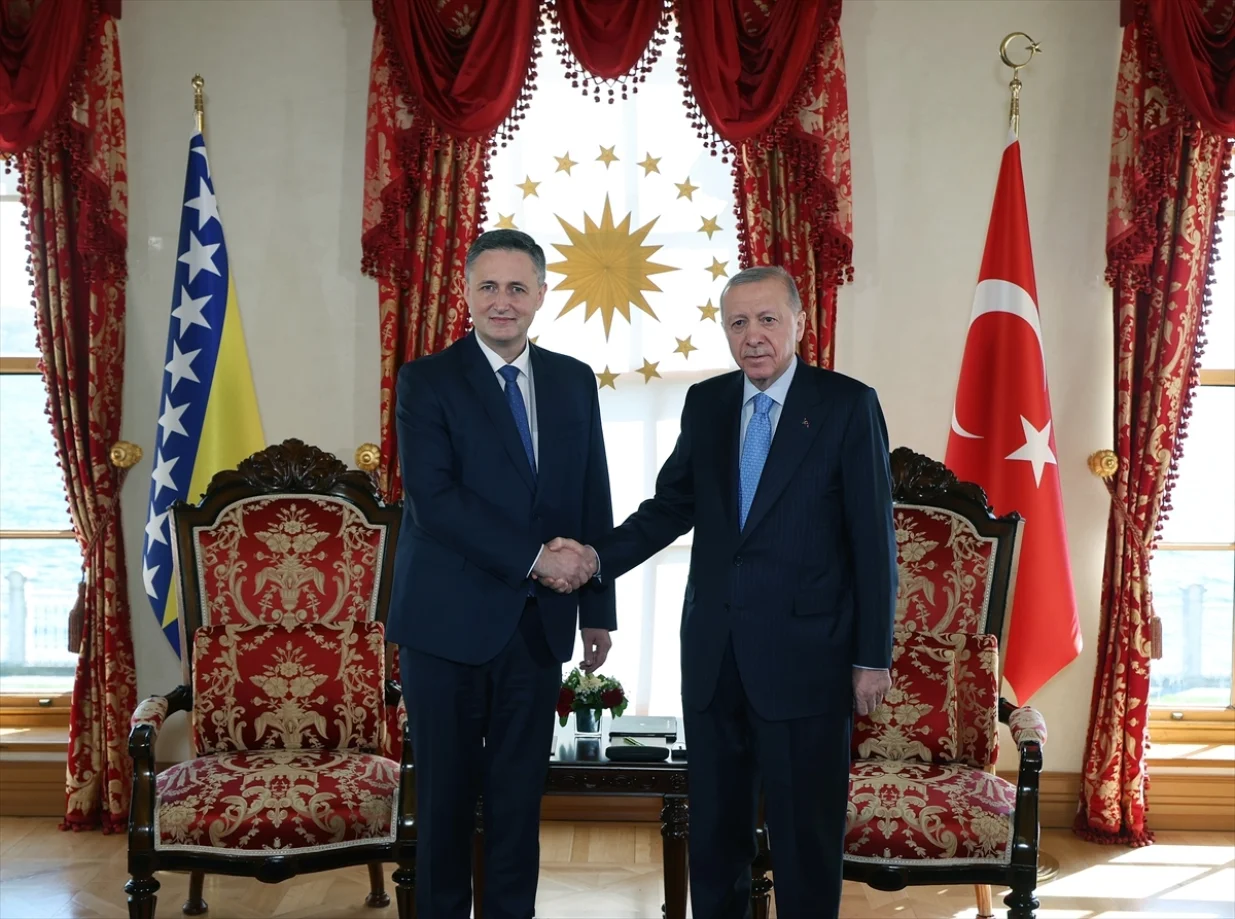 Denis Bećirović, Recep Erdogan, turska, posjeta, mart 2025/Mustafa Kamaci