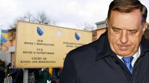 presuda dodiku, ilustracija/Lejla Sofradžija I Damir Deljo 