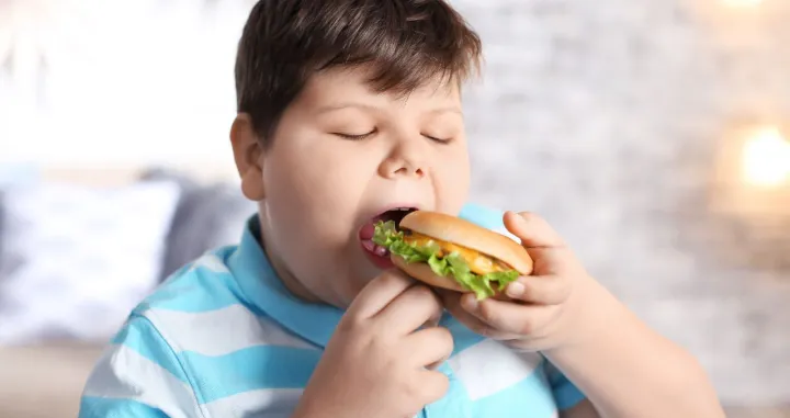 Nezdrava hrana jednako štetna kao alkohol i cigare za mozak adolescenta/ Canva/Amir9937