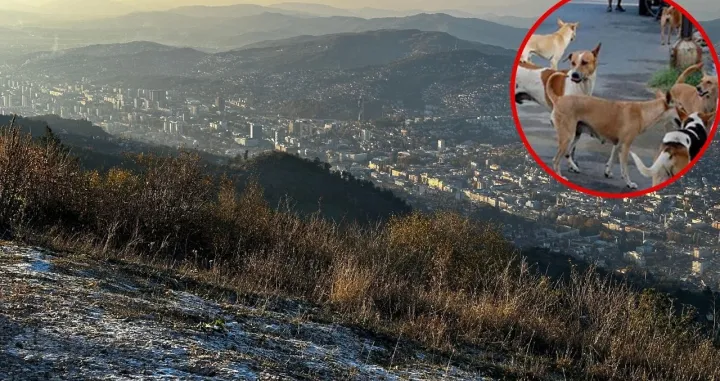 Više nije sigurno šetati Trebevićem/Ilustracija