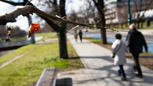 Vedro poslije kiše mart 2025/Damir Deljo