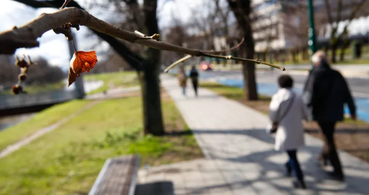 Vedro poslije kiše mart 2025/Damir Deljo
