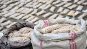 Oduzeta droga/Tanjug//