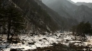 Ilustracija/ Pexels/