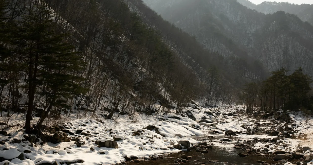 Ilustracija/ Pexels/