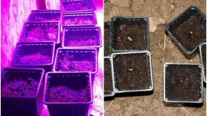 Pronađena laboratorija/PU Bosanska Gradiška/