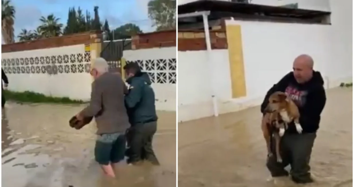 Spasioci na terenu/Printscreen/X.com//