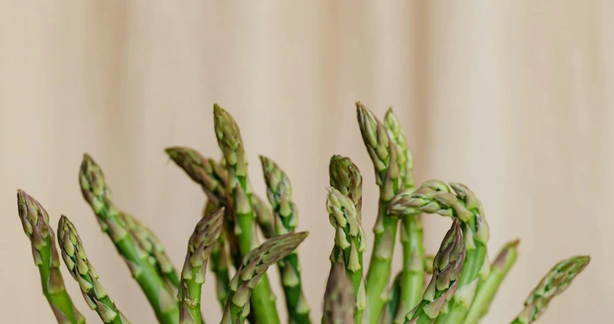 Šparoge spadaju u najkvalitetnije povrće/Kaboompics.com