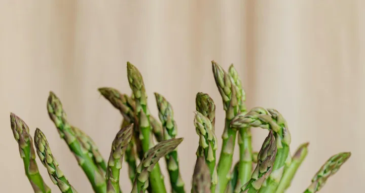 Šparoge spadaju u najkvalitetnije povrće/Kaboompics.com
