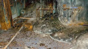 Jedan od najsmrtonosnijih artefakata nuklearne katastrofe u Černobilu 1986. godine nosi nadimak "Slonovo stopalo"//