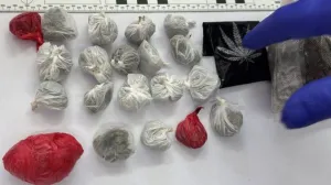 Oduzeta droga/MUP TK/