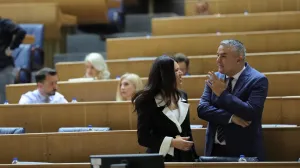 Sjednica Predstavničkog doma Parlamentarne skupštine BiH, sanja vulić/Senad Gubelić