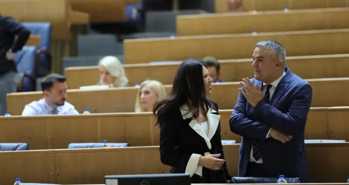 Sjednica Predstavničkog doma Parlamentarne skupštine BiH, sanja vulić/Senad Gubelić