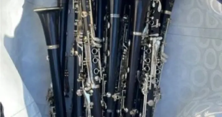 Ukradeni klarineti/Bundespolizeidirektion//