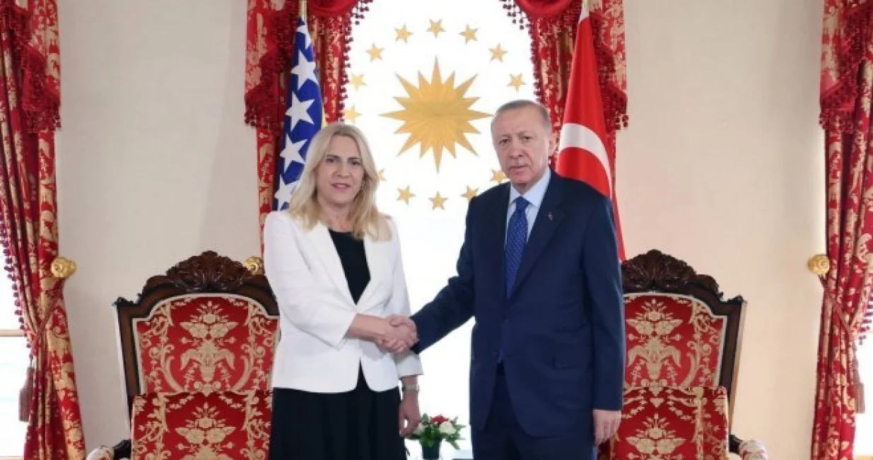 Željka Cvijanović i Recep Tayyip Erdogan, susret u Istanbulu/Instagram