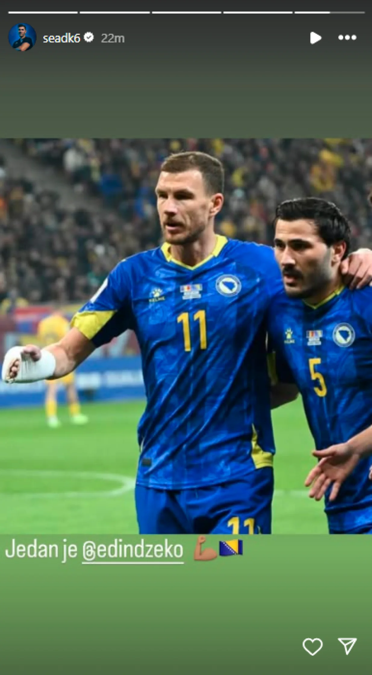 FOTO: Screenshot/NFSBIH