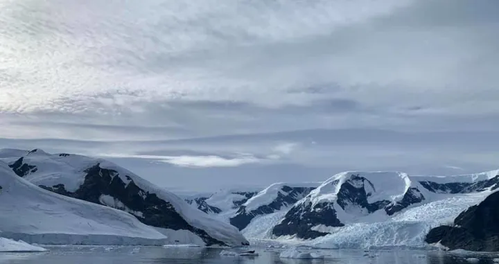 Zaliv na Antarktiku/