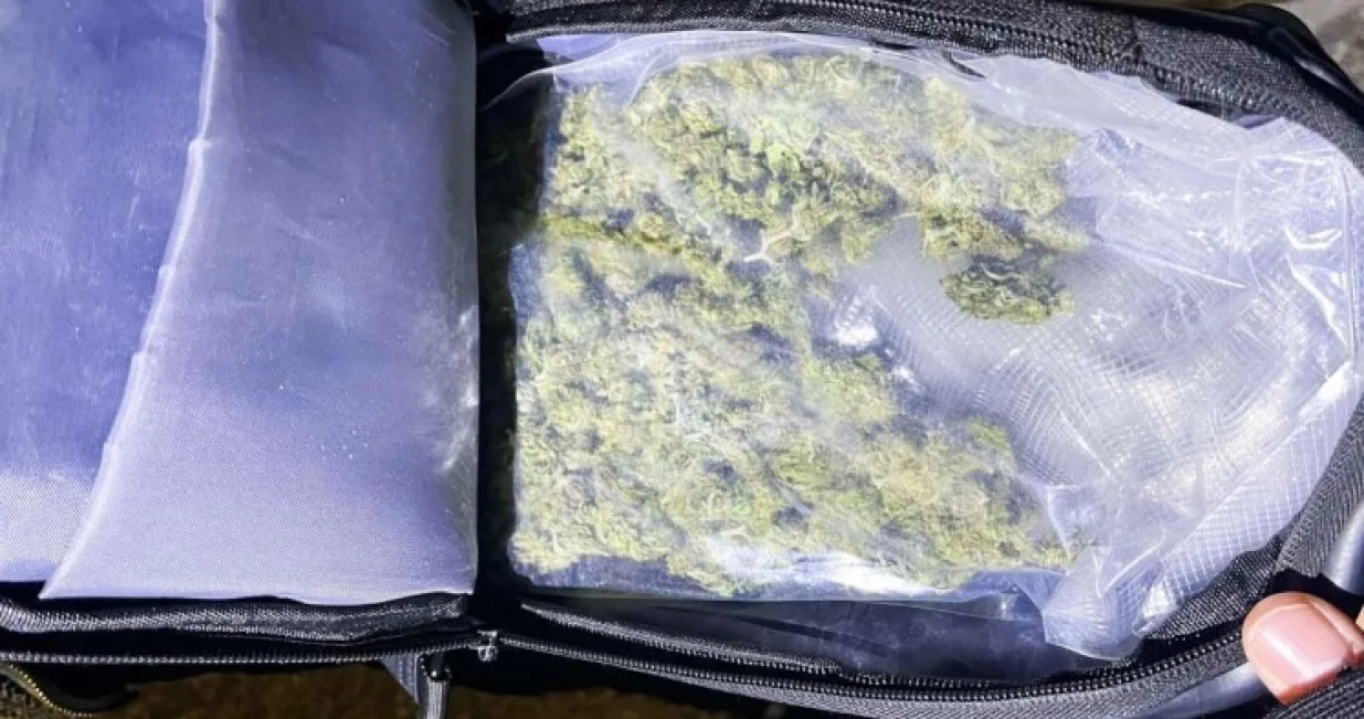 Uzgajao marihuanu/Nezavisne//