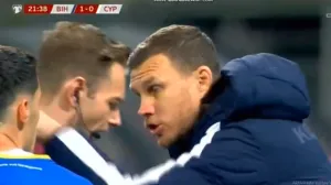 Sjajna reakcija Edina Džeke