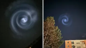 Nesvakidašnji prizor/Facebook