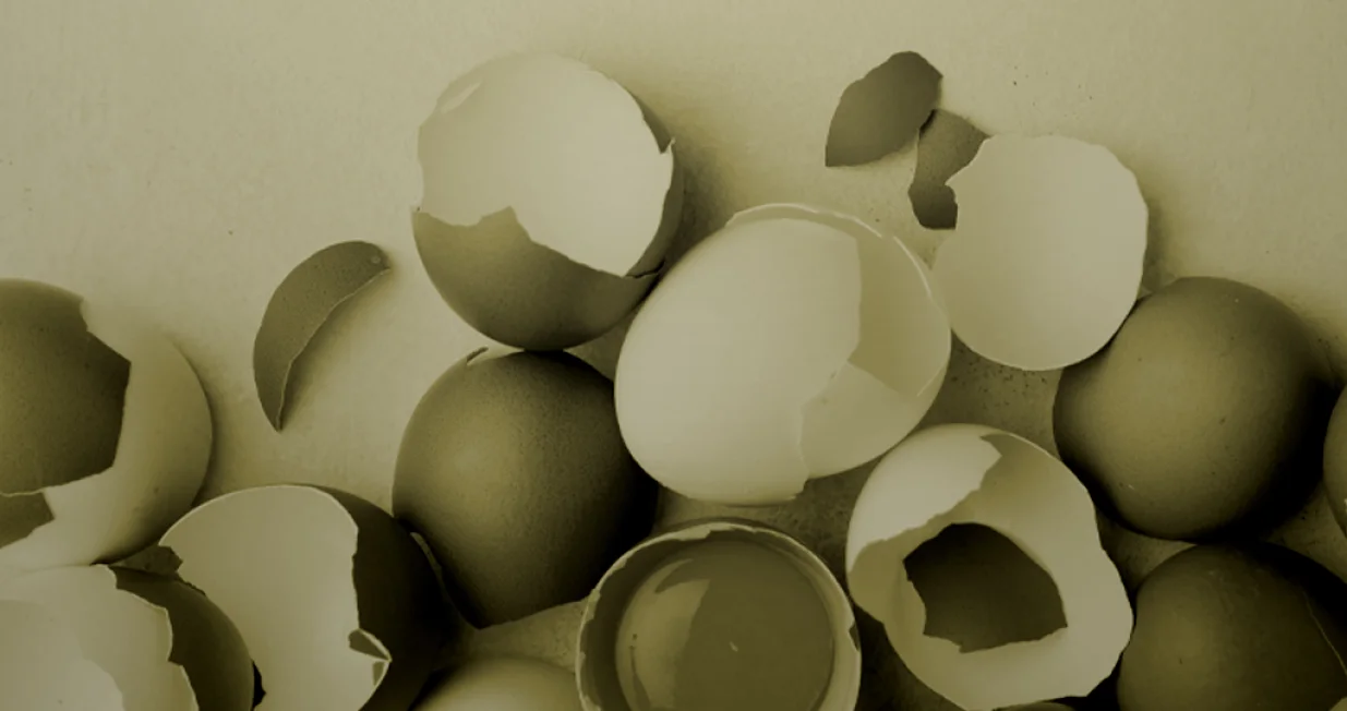 / Benjamin Krnić// Benjamin Krnić 