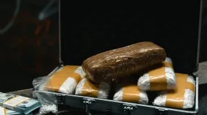 / Ilustracija/Pexels