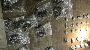 Oduzeta droga/MUP TK/